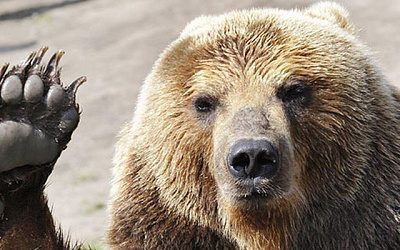 Латышская послевоенная эмиграция: от «коммунистической опасности» к «русофобияфилии»