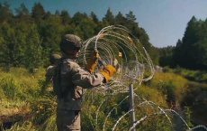 Власти Литвы назвали сроки строительства заграждения на границе с Беларусью