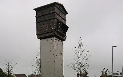 Памятник латышским легионерам ваффен СС снесут в Бельгии
