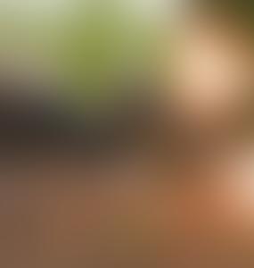 Чем крупнейшие учения НАТО в Прибалтике угрожают России и Беларуси