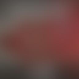 Санду реализует сценарий Запада по поглощению Молдовы Румынией