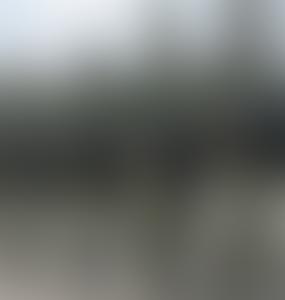 Литва дала новый мастер-класс по разворовыванию армии