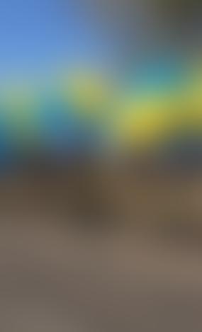 «Слава Украине!» кричите дома: в Молдове растет недовольство украинскими беженцами