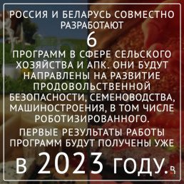 Союзные программы в агропромышленном комплексе Беларуси и России