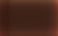 Президент Беларуси провёл встречу с американской делегацией