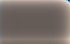 Латвийская спецслужба не нашла преступления в словах Жданок о русских и евреях