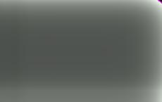 Попрятались по бункерам: почему «лесные братья» отказались от силовых операций против советских войск