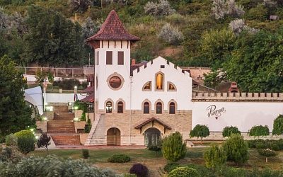 Польская компания намерена выкупить известный винный завод Молдовы