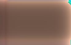 В эстонскую армию намерены призывать только знающих госязык