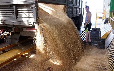 Евросоюз запретил экспорт зерна с Украины в Польшу