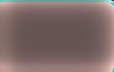 Лукашенко покритиковал литовцев и поляков за отрицание вклада белорусов в Речь Посполитую