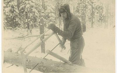 Лесоруб со страшным прошлым: в 1947 г. чекисты поймали в Вологде нацистского полицая