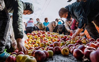 Только Россия способна спасти сельское хозяйство Молдовы от окончательного краха