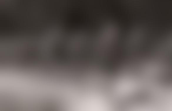 False Neutrality: Sweden Helped Hitler and the Forest Brothers Fight the Soviet Union