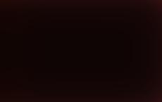 Евросоюз не будет вводить санкции против Лукашенко