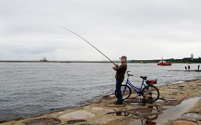 Еврокомиссия сократит допустимый максимум на вылов рыбы в Балтийском море