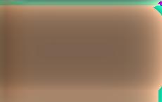 Сейм Литвы рассмотрит резолюцию по положению уйгуров в Китае