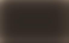 Spiegel узнал о претензиях Штайнмайера к Зеленскому из-за отмены визита в Киев