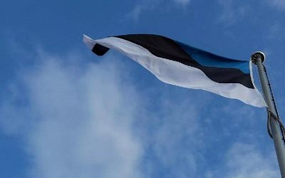 В Эстонии испортили плакаты кандидата, выступающего за обучение на русском языке