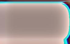 Президент Литвы раскритиковал кандидата в правительство из-за франшизы кебабов