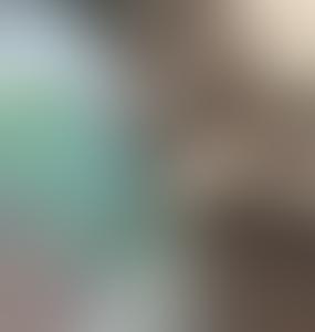 Фильтрационная политика: власти Литвы разделяют людей по категориям