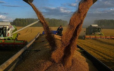Литовский министр просит Евросоюз ограничить ввоз российской сельхозпродукции