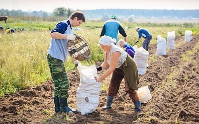 Минэкономики Латвии: аграриям помогут новые технологии, а не гастарбайтеры