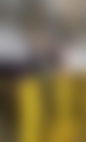 Антифашисты Латвии: мы не дадим приравнять день Латышского легиона СС к 9 мая!