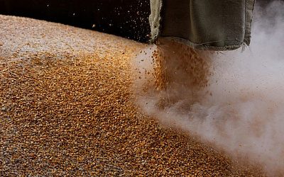 Сейм Литвы официально обратился в ЕК с вопросом о запрете импорта зерна из РФ