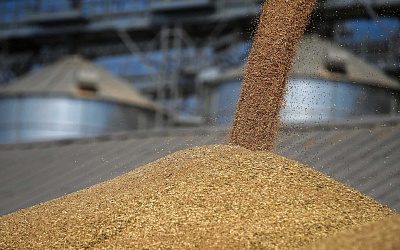 Деньги дороже принципов: российское зерно рассорило Литву и Латвию