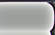 Белорусские историки отрицают Древнюю Русь и считают белорусами неандертальцев?