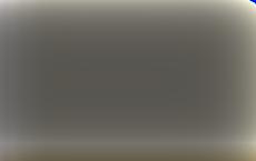 На границе Литвы и Беларуси неизвестные спилили два пограничных столба с камерами