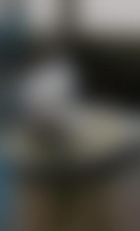 В Латвии опасаются утраты национальной ценности из-за нового плана охраны моря