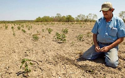 Аграрии Латвии назвали «драматической» ситуацию в сельском хозяйстве