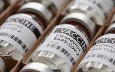 Замглавы Еврокомиссии назвал стратегию вакцинации Евросоюза ошибочной