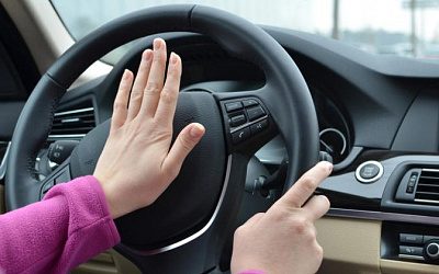 В Литве пьяная инспектор таможни попала в ДТП