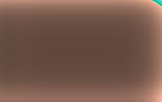 На Украине сообщили о бегстве бывшего генпрокурора в Великобританию «подтянуть английский»