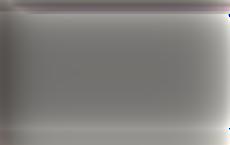 В Молдове началось голосование во втором туре выборов президента