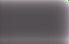 На Украине детей заставили возложить цветы на могилу пособника нацистов