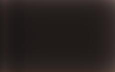 В Латвии собрали уже более 10 тыс. подписей за легализацию однополых браков