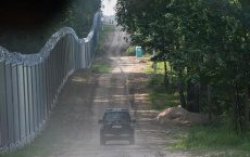 В ООН обвинили Польшу в принудительном выдавливании мигрантов в Беларусь
