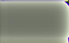 В Польше задержали курьеров, перевозивших афганских нелегалов из Литвы