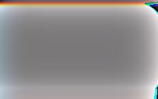 Сейм Литвы лишил мандата депутата Гражулиса