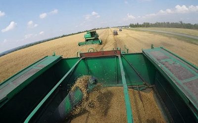 Москва требует гарантий от Киева о неиспользовании зернового коридора в военных целях