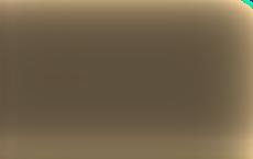 Молодежь Украины согласилась с Путиным: русские и украинцы — один народ