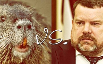 Бобёр из Даугавпилса против Андиса Кудорса