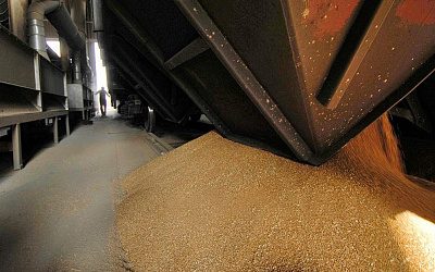«Громко воюем и тихо торгуем»: Латвия стремительно наращивает импорт зерна из России