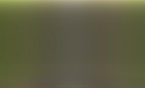 Катастрофическая ситуация на железной дороге Молдовы — символ правления Санду