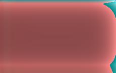 Кароль Навроцкий вступил в должность президента Польши