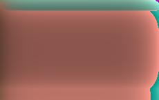 Глава МИД Германии назвала причину отмены встречи с Зеленским